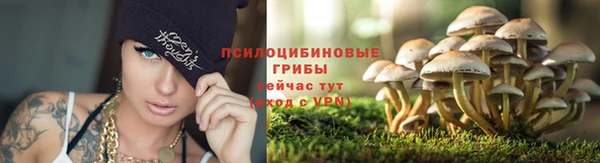 Альфа ПВП Абинск
