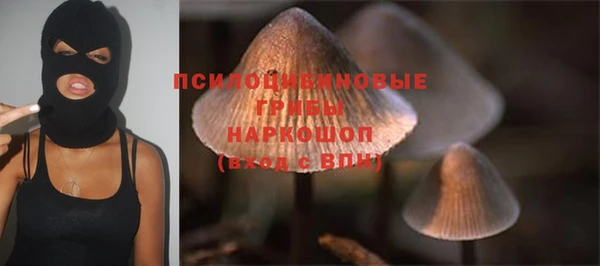 твердый Абаза