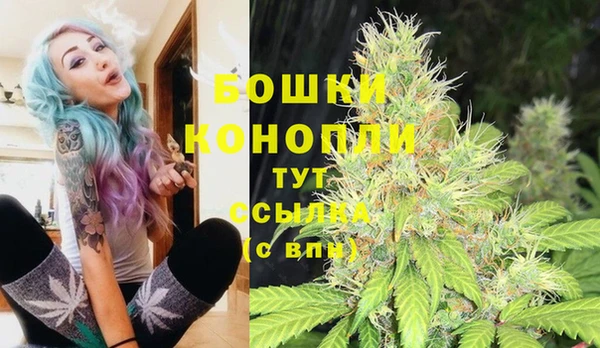 твердый Абаза